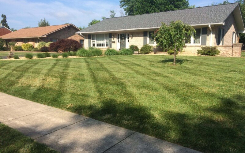 Lawn Care Company in Alexandria, VA