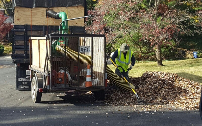 Landscape Clean Up Service in Alexandria, VA