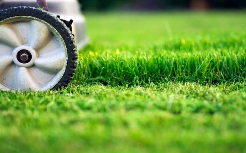 Lawn Mowing Service in Alexandria, VA