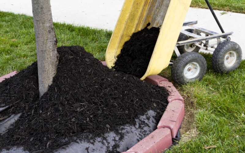 Mulch Installation Service in Alexandria, VA